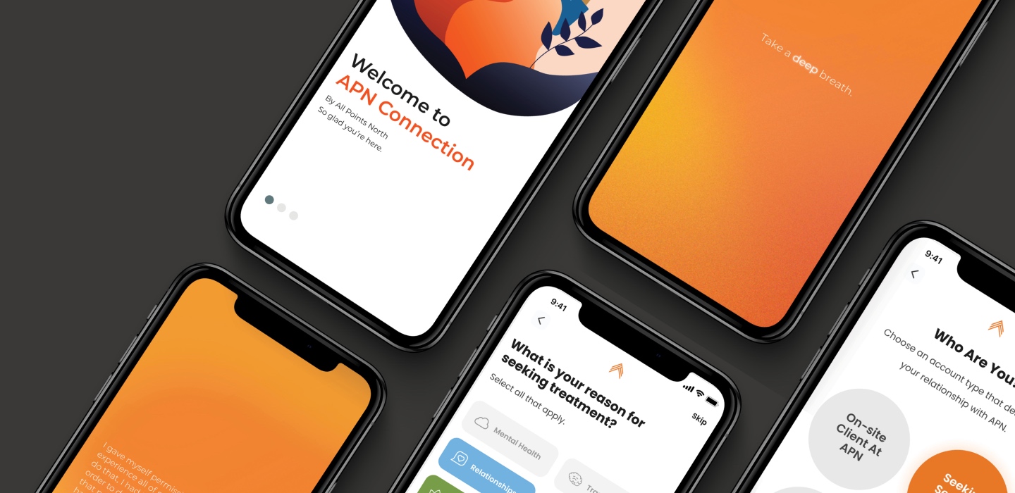 Screenshots of APN Connection App