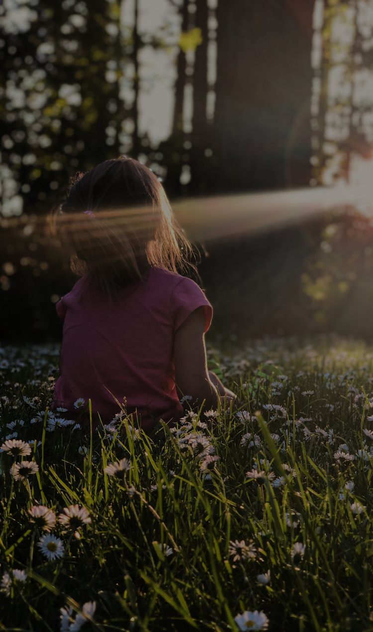 A child sits in a sunny meadow surrounded by trees.