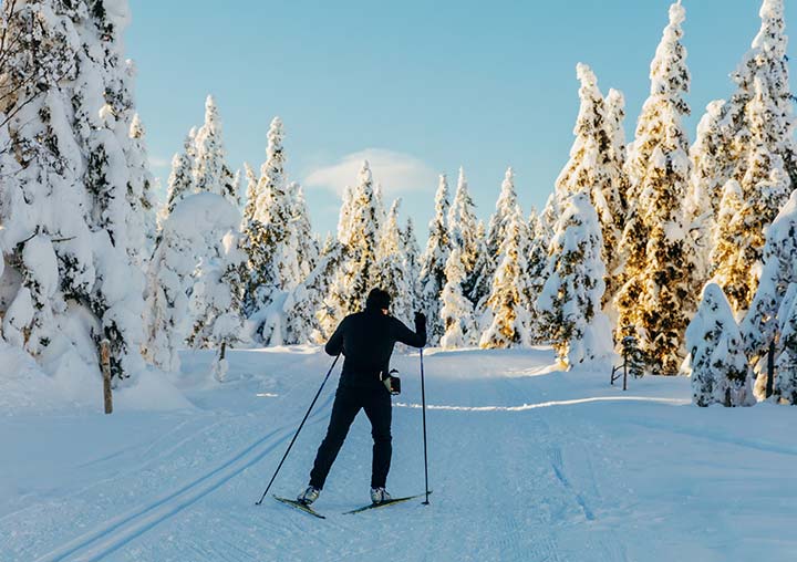 Cross Country Skiing