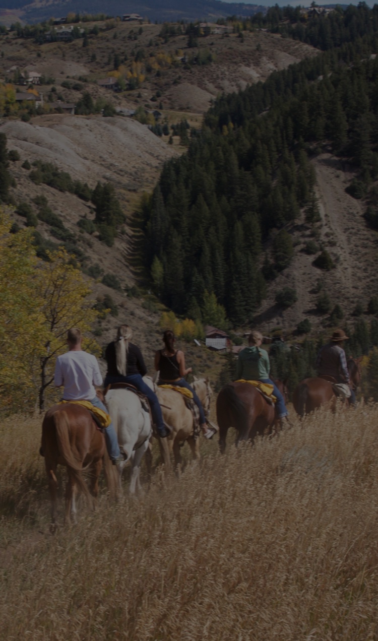 A train of horses with riders navigating the trails in Colorado.