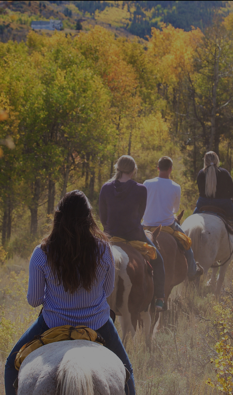 Clients out on a trail during equine-assisted therapy.