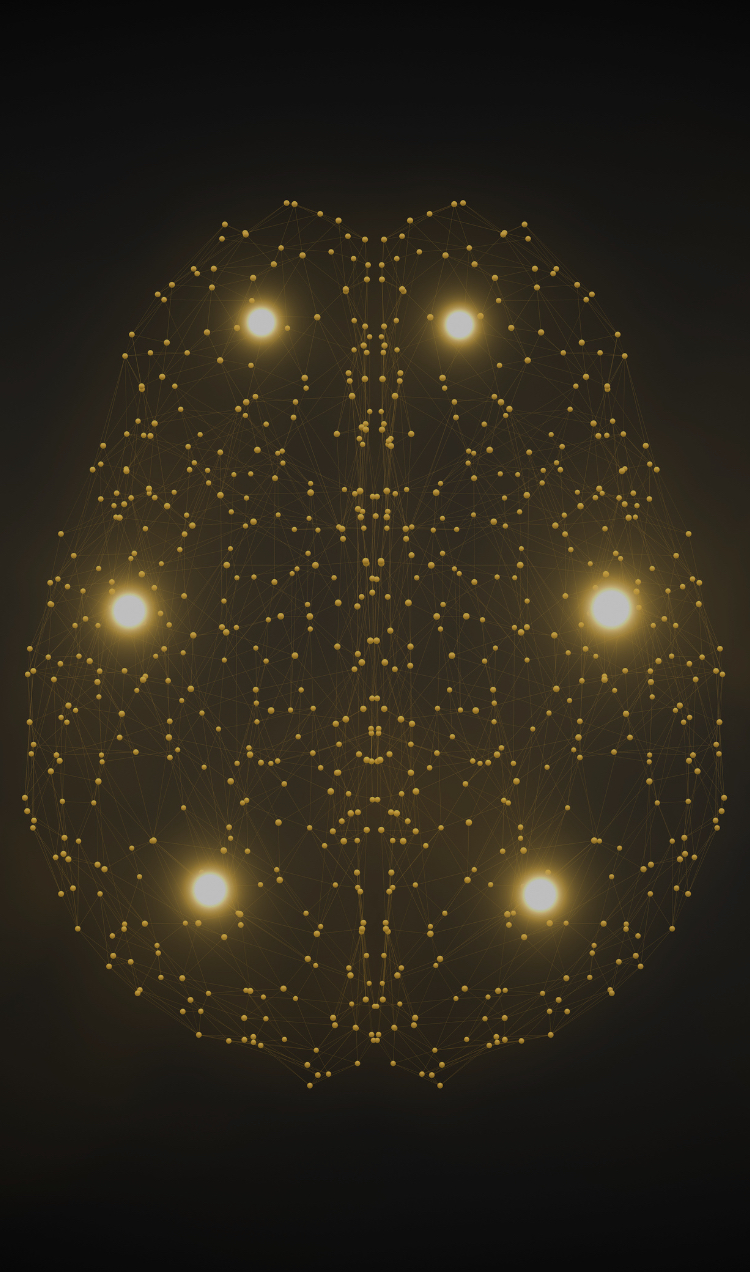 Digital rendering of the brain.