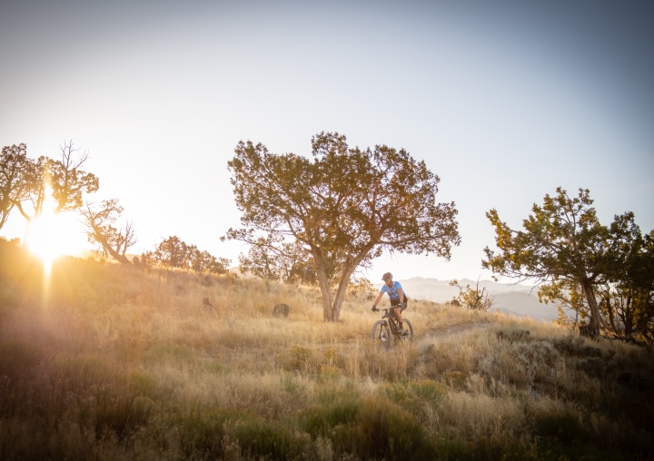 A man tears through a trail on a mountain bike.