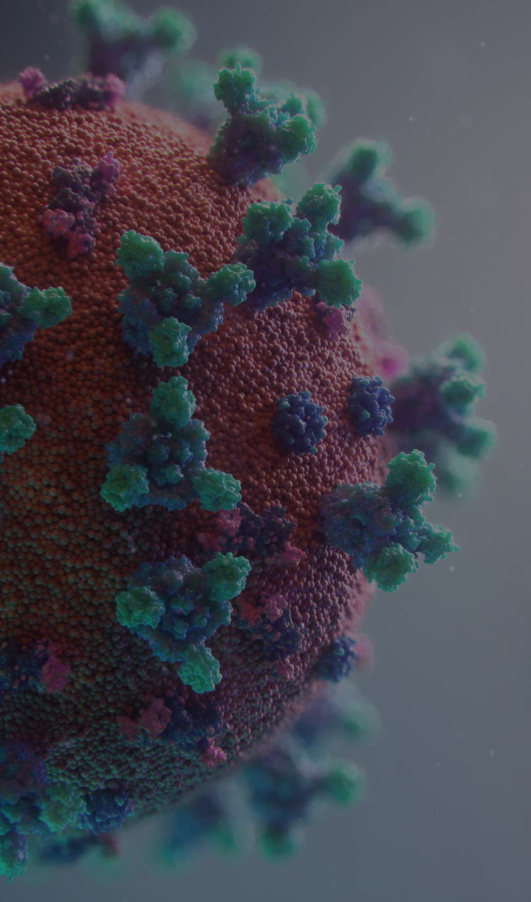 A close up photo of COVID-19.