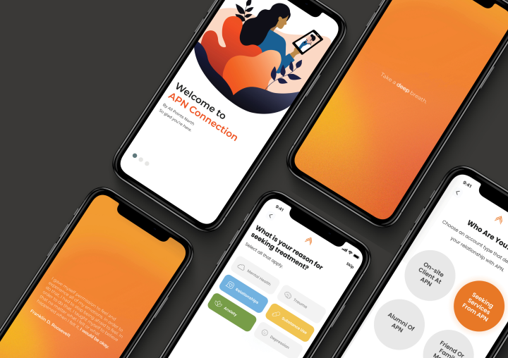 Screenshots of APN Connection App