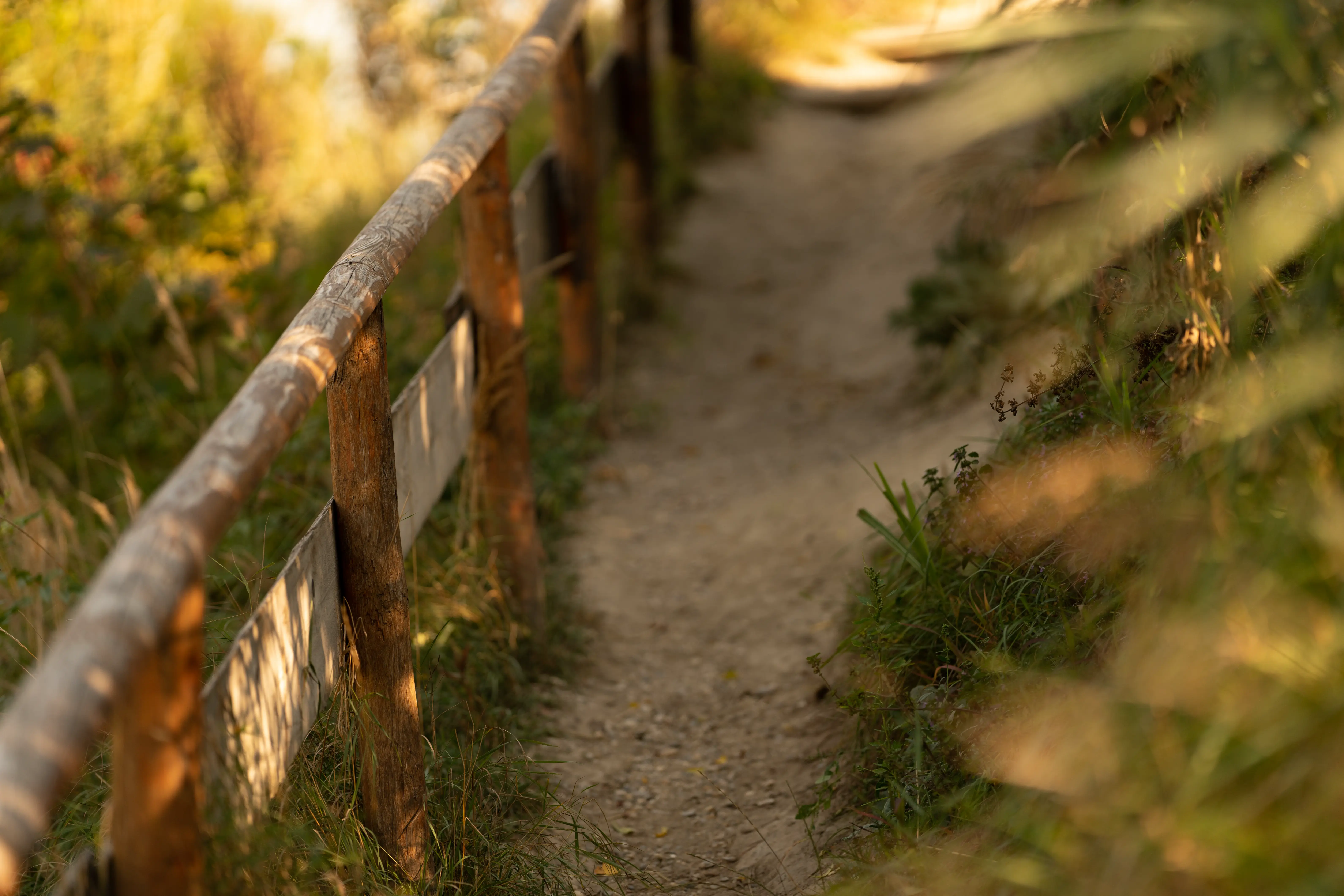 Exploring a trail system